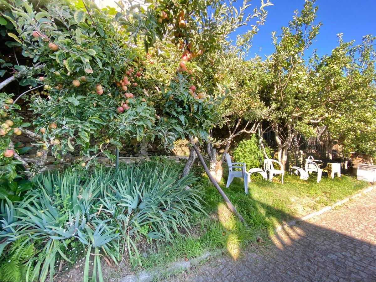 Casa Da Risca Apartment Unhais Da Serra Luaran gambar